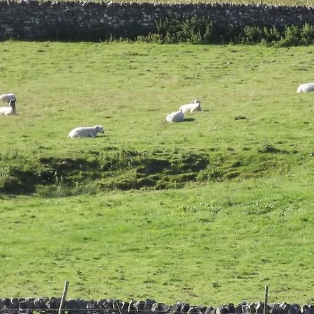 Curlew Barn Bed and Breakfast Leyburn Εξωτερικό φωτογραφία