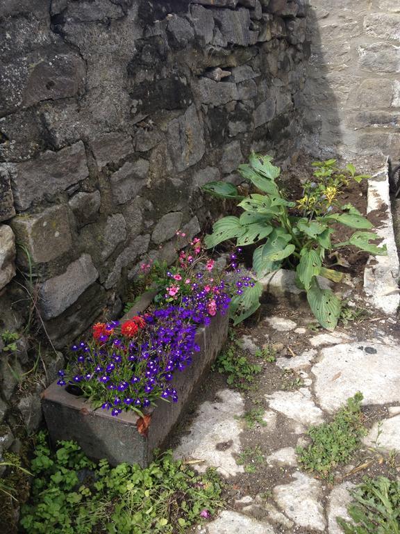 Curlew Barn Bed and Breakfast Leyburn Εξωτερικό φωτογραφία